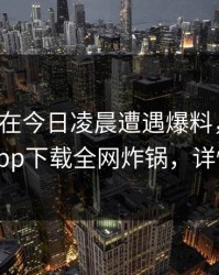 神秘人在今日凌晨遭遇爆料，炸锅，杏吧app下载全网炸锅，详情直击