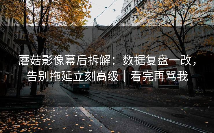 蘑菇影像幕后拆解：数据复盘一改，告别拖延立刻高级｜看完再骂我