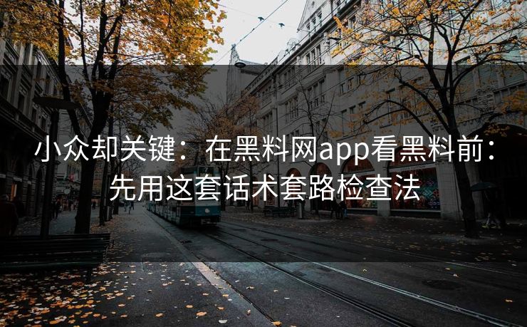 小众却关键:在黑料网app看黑料前:先用这套话术套路检查法 小众却关键:在黑料网app看黑料前:先用这套话术套路检查法
